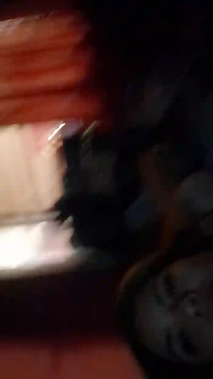 pamelitarocio1