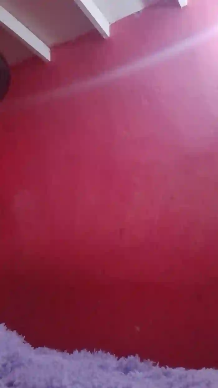 pamelitarocio1