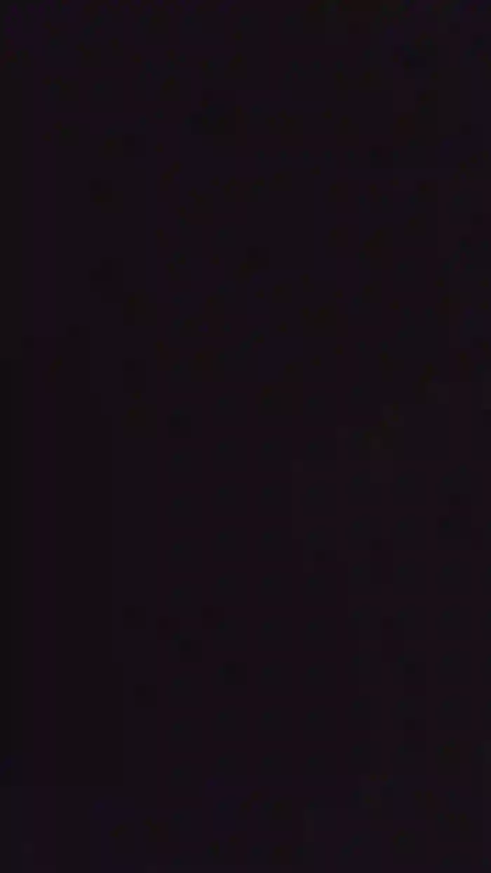 Jpnt4646