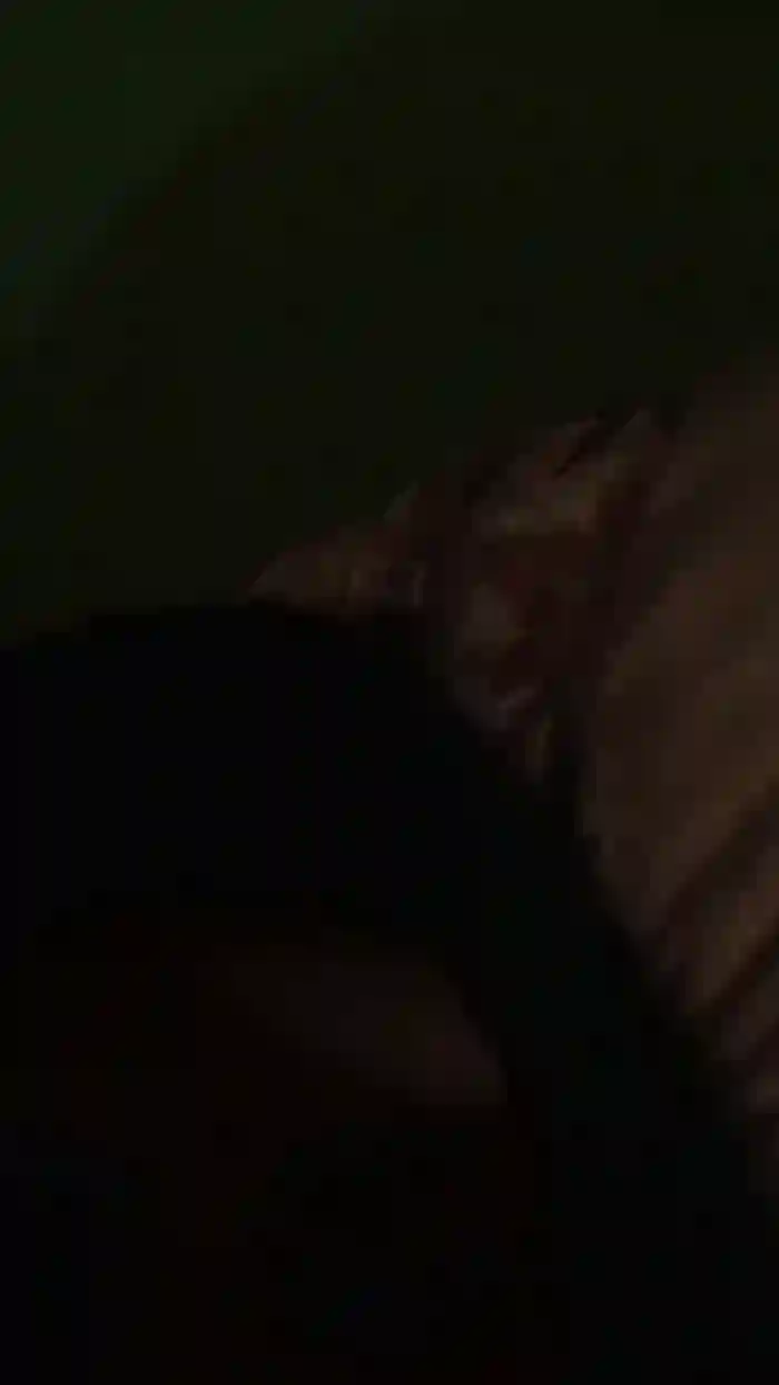 franch_xxx
