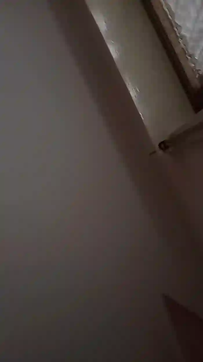 vogliadi6