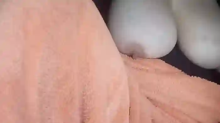 Tugacrazyhot