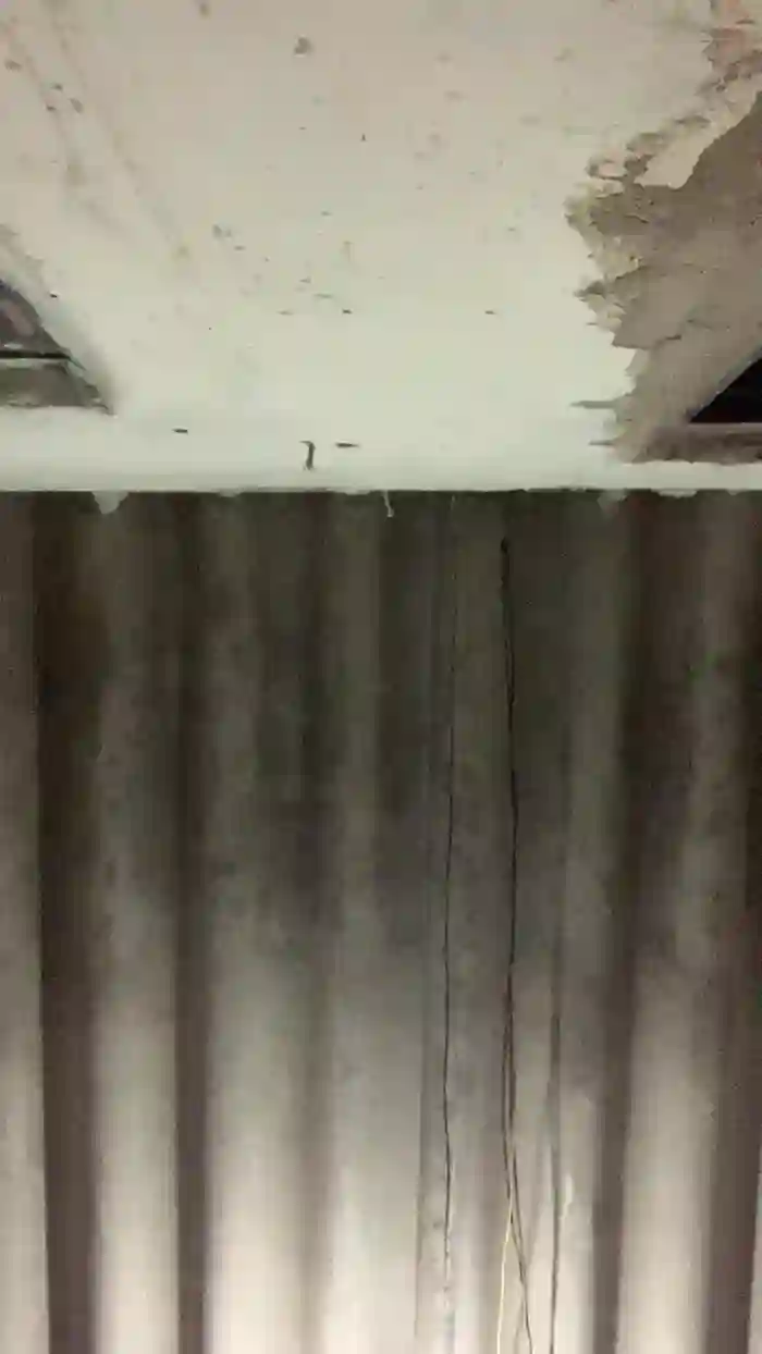 _Natysapeka
