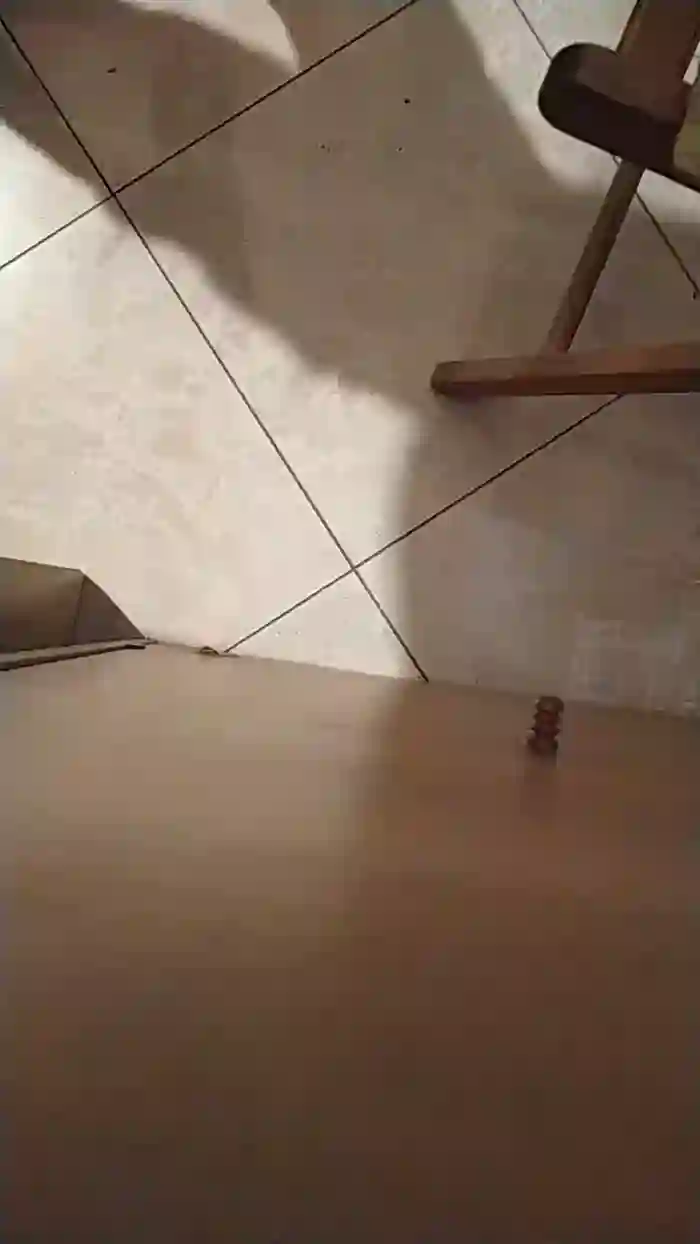scrocchia84
