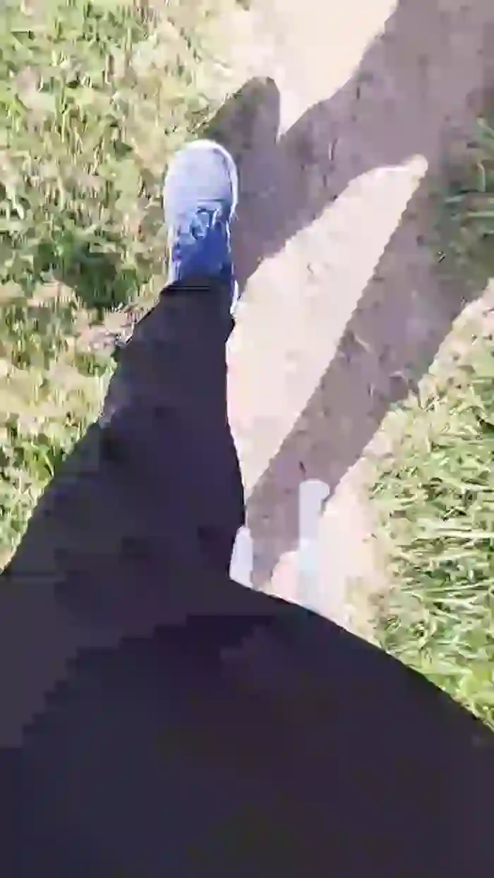stefan519