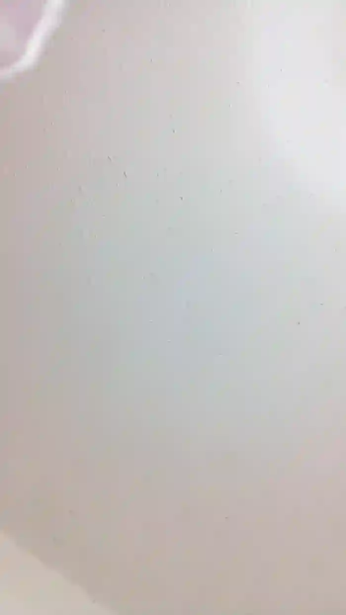 Arianarc22