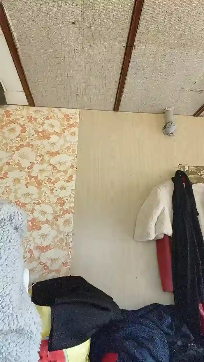 Hotledy69