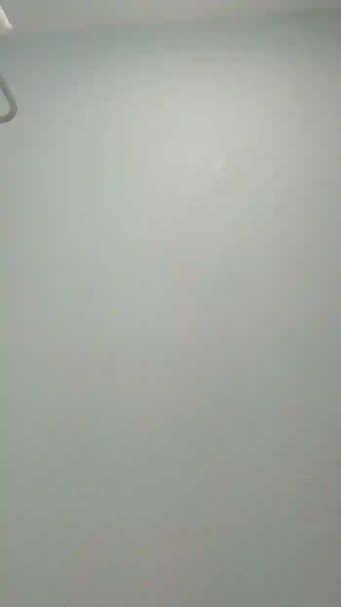 Paintpantiesxxx