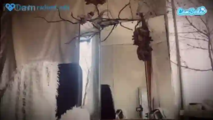 radiantada