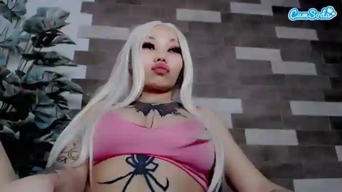 calistaera