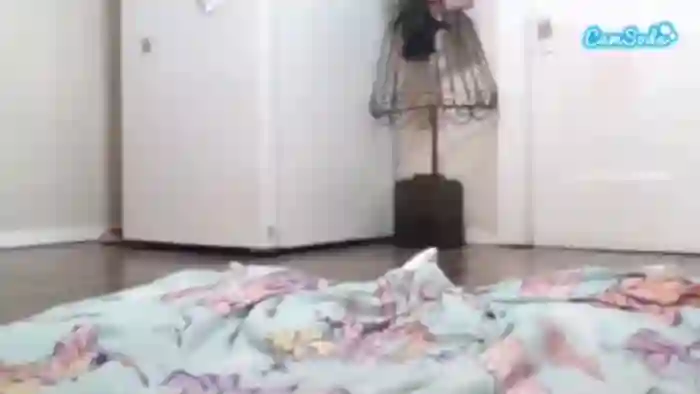 skyepastelxoxo