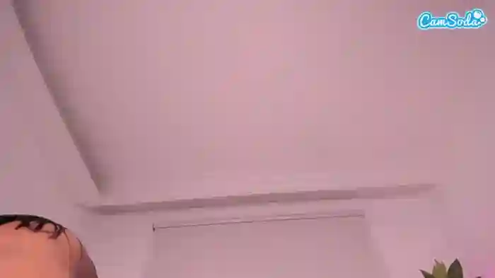 ashleypurple