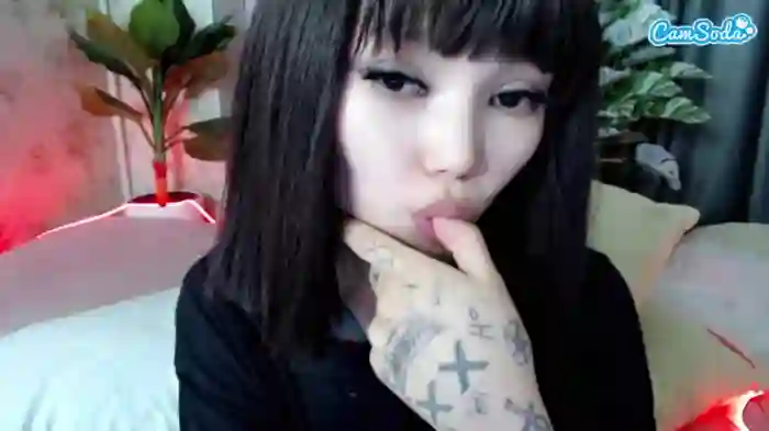 calistaera