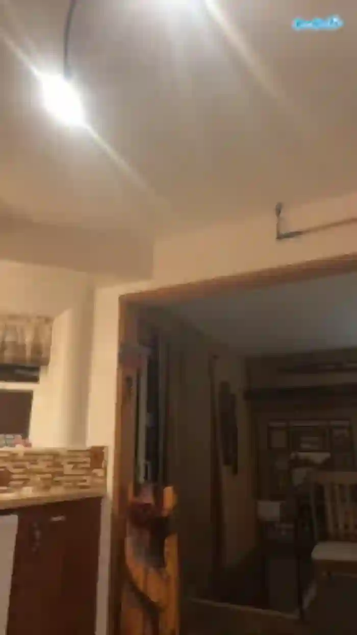 pantiespleaser