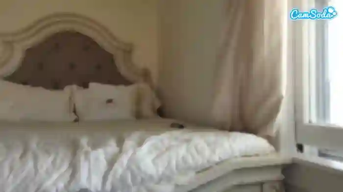secretsunkitty