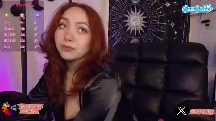 lilyvelvet