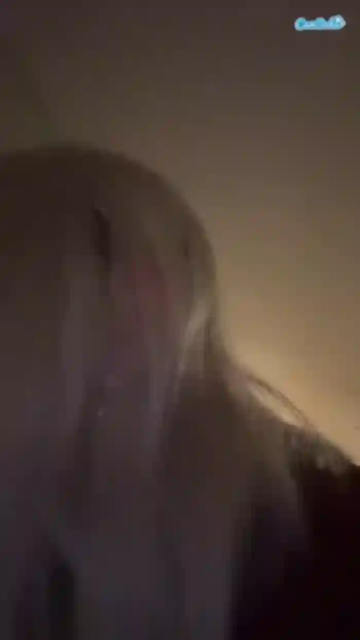 pantiespleaser