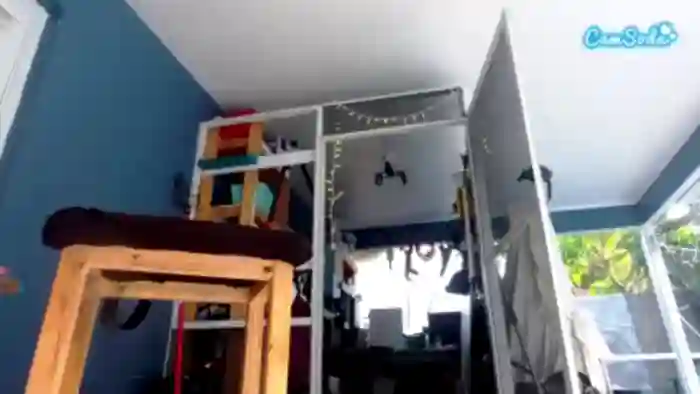1800fu