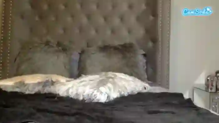 missprettypocahontas