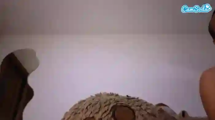 ginaakemi
