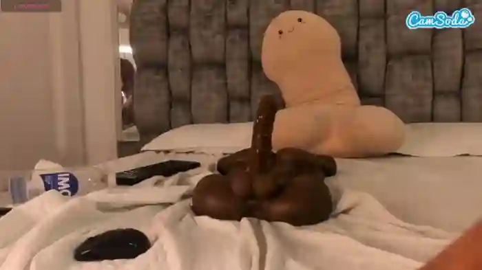 sussisoto