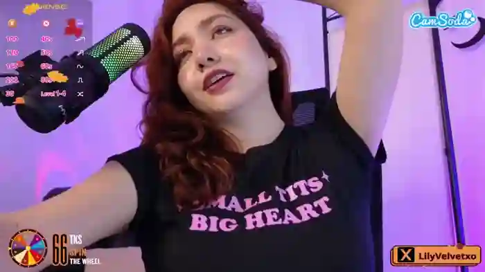 lilyvelvet