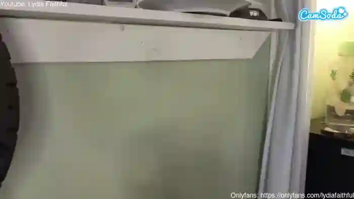 optimistictrannylydia