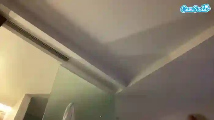 carmensindiego