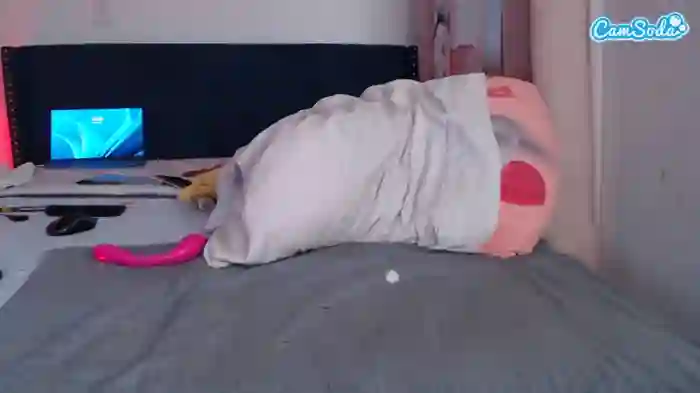 geishapaige