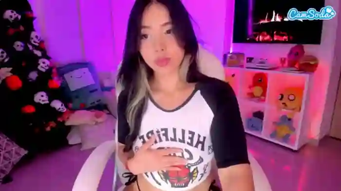 nicollemeyer