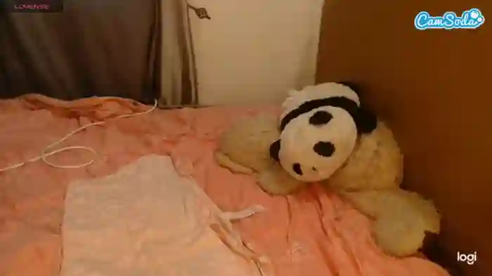 sofiasysco