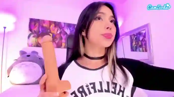 nicollemeyer