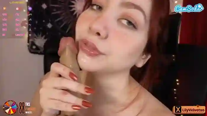 lilyvelvet