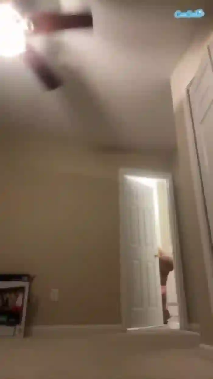tastethepeach