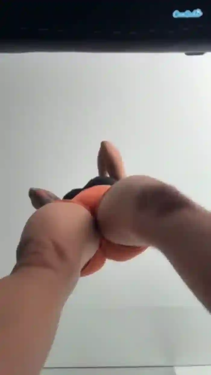 anastaxialynn