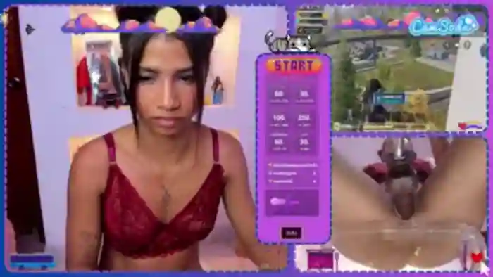 sofirey