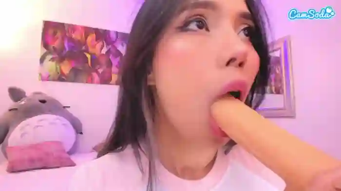 nicollemeyer