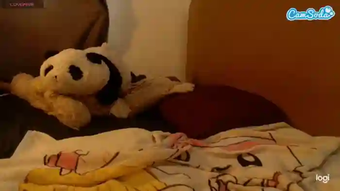 sofiasysco