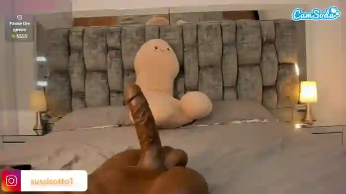 sussisoto