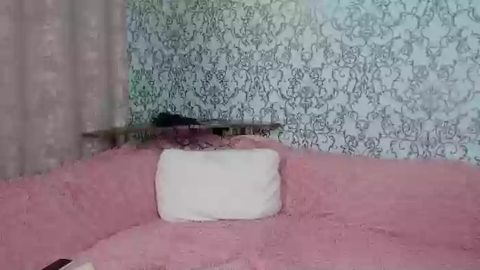 DorisBest