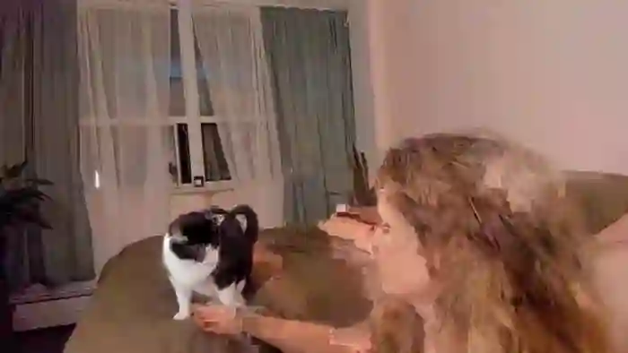 katekacao