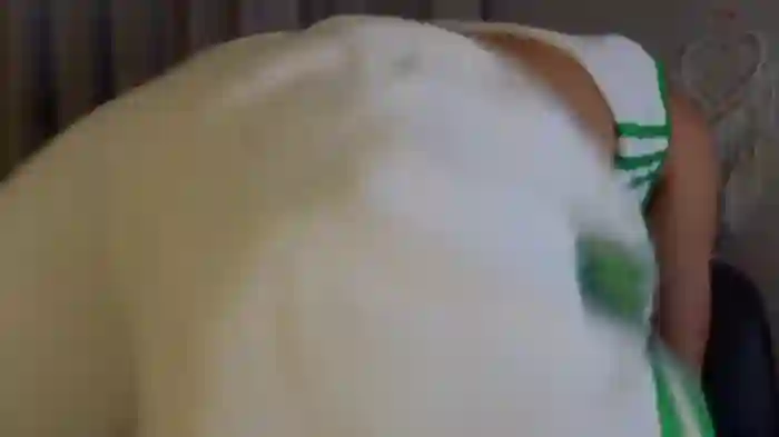 _demi_dee_