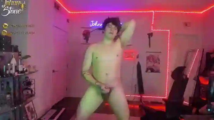 thejohnnystone
