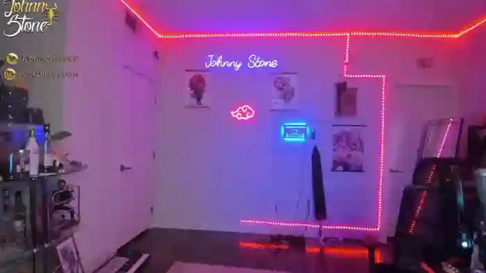 thejohnnystone