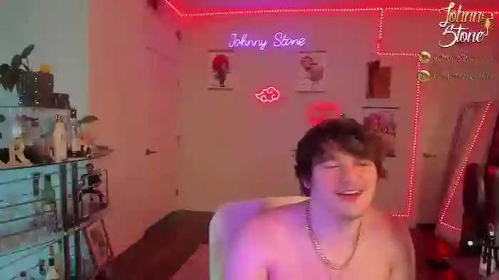 thejohnnystone