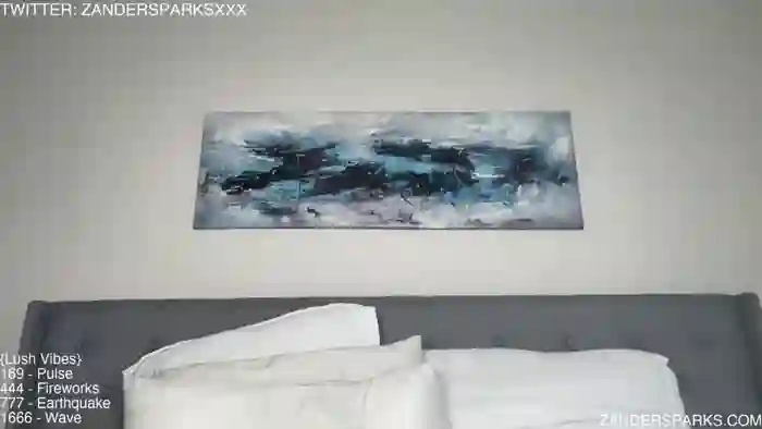 zandersparks