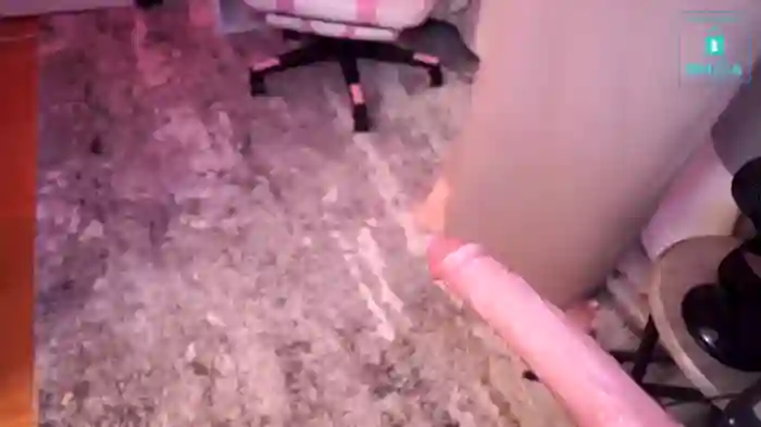 laylas_universe