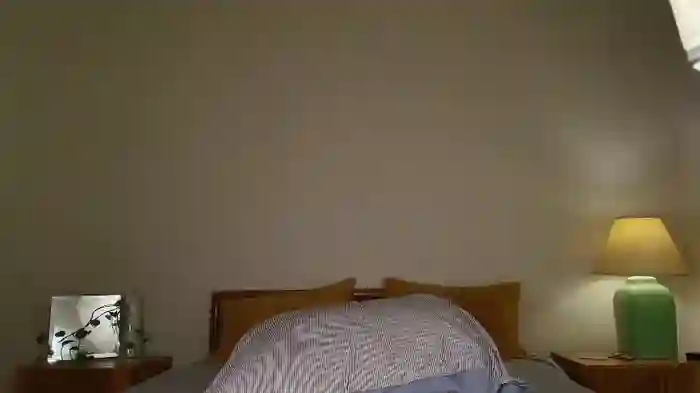 jsmine_