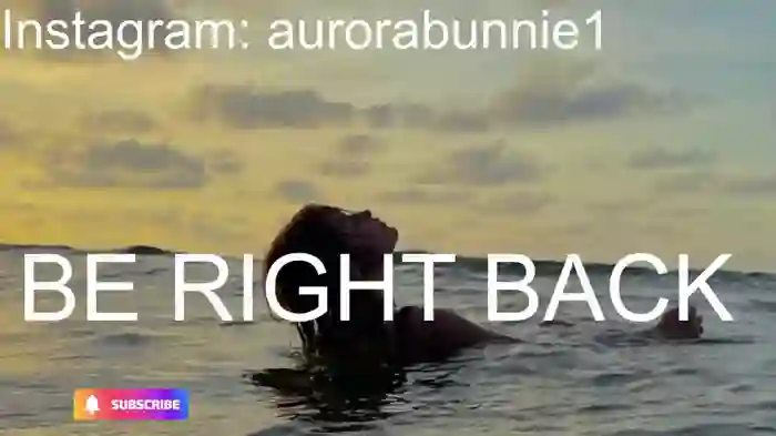 aurora_bunnie