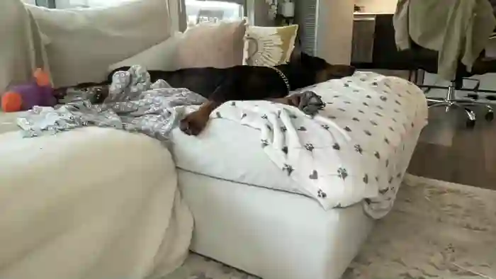 graciemae_baexx